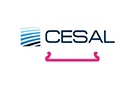 Потолки реечные Cesal Французский S-дизайн